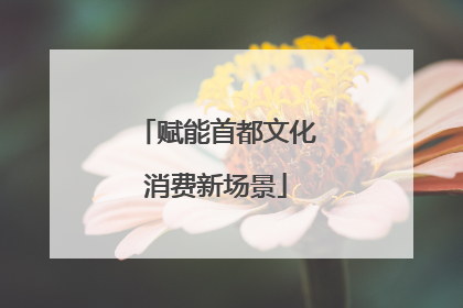 赋能首都文化消费新场景