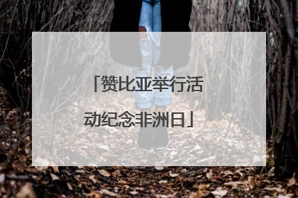 赞比亚举行活动纪念非洲日