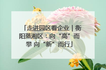走进园区看企业｜衡阳蒸湘区：向“高”而攀 向“新”而行