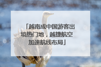 越南成中国游客出境热门地，越捷航空加速航线布局