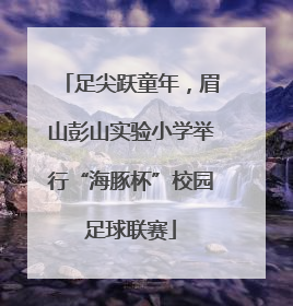 足尖跃童年,眉山彭山实验小学举行“海豚杯”校园足球联赛