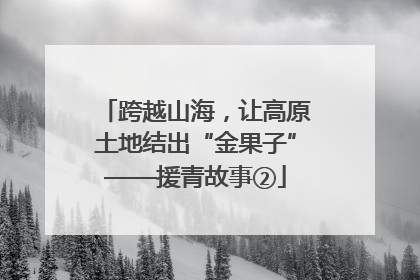跨越山海，让高原土地结出“金果子”——援青故事②