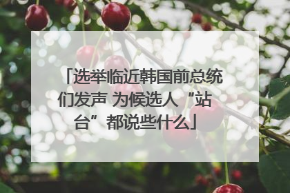 选举临近韩国前总统们发声 为候选人“站台”都说些什么