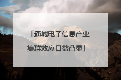 通城电子信息产业集群效应日益凸显