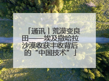 通讯丨荒漠变良田——埃及撒哈拉沙漠收获丰收背后的“中国技术”