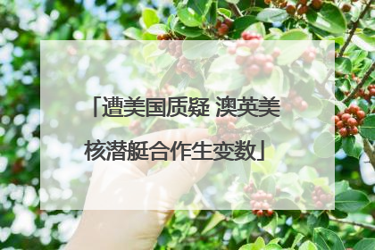 遭美国质疑 澳英美核潜艇合作生变数