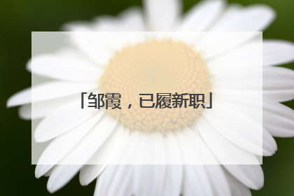 邹霞，已履新职