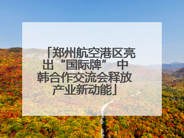 郑州航空港区亮出“国际牌” 中韩合作交流会释放产业新动能