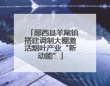 郧西县羊尾镇搭建调制大棚激活烟叶产业“新动能”