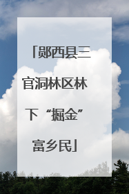 郧西县三官洞林区林下“掘金”富乡民