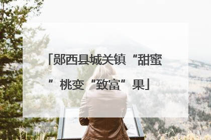 郧西县城关镇“甜蜜”桃变“致富”果