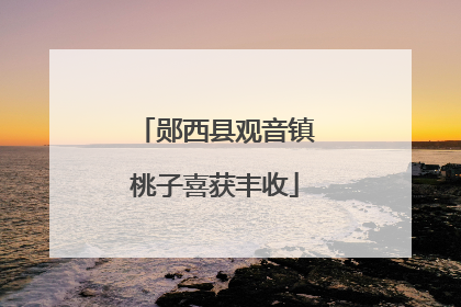 郧西县观音镇桃子喜获丰收