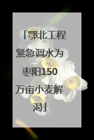 鄂北工程紧急调水为枣阳150万亩小麦解渴