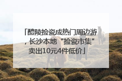 醴陵捡瓷成热门周边游，长沙本地“捡瓷市集”卖出10元4件低价