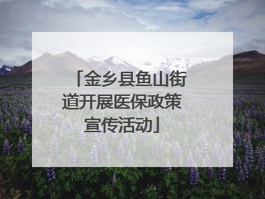 金乡县鱼山街道开展医保政策宣传活动