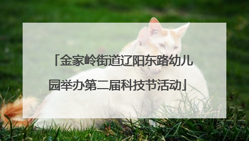 金家岭街道辽阳东路幼儿园举办第二届科技节活动