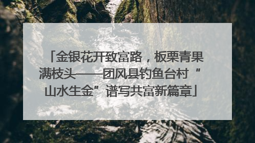 金银花开致富路，板栗青果满枝头——团风县钓鱼台村“山水生金”谱写共富新篇章