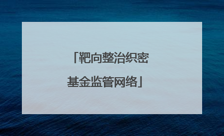 靶向整治织密基金监管网络