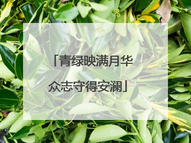 青绿映满月华 众志守得安澜