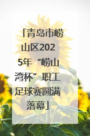 青岛市崂山区2025年“崂山湾杯”职工足球赛圆满落幕