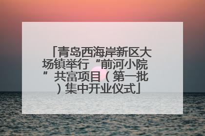 青岛西海岸新区大场镇举行“前河小院”共富项目（第一批）集中开业仪式
