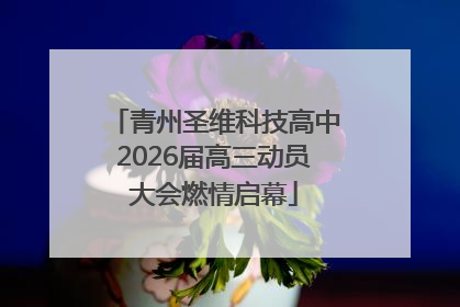 青州圣维科技高中2026届高三动员大会燃情启幕