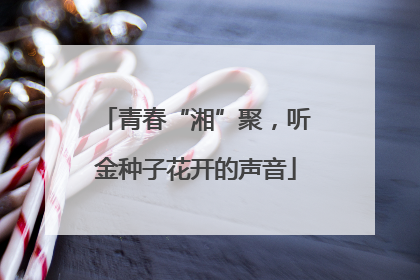 青春“湘”聚，听金种子花开的声音
