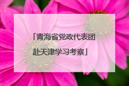 青海省党政代表团赴天津学习考察