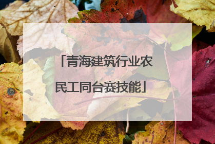 青海建筑行业农民工同台赛技能