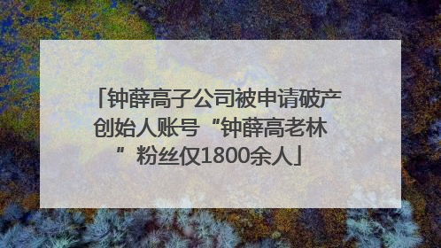 钟薛高子公司被申请破产 创始人账号“钟薛高老林”粉丝仅1800余人