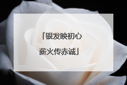 银发映初心 薪火传赤诚