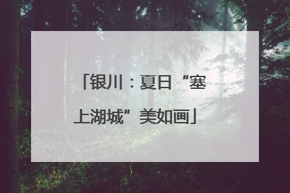 银川：夏日“塞上湖城”美如画