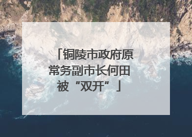 铜陵市政府原常务副市长何田被“双开”