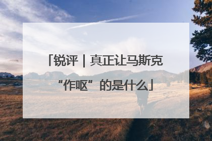 锐评｜真正让马斯克“作呕”的是什么