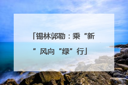 锡林郭勒：乘“新”风向“绿”行