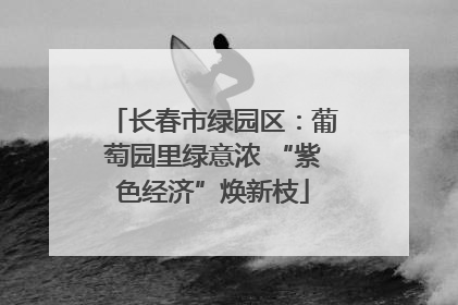 长春市绿园区：葡萄园里绿意浓 “紫色经济”焕新枝