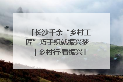 长沙千余“乡村工匠”巧手织就振兴梦｜乡村行·看振兴