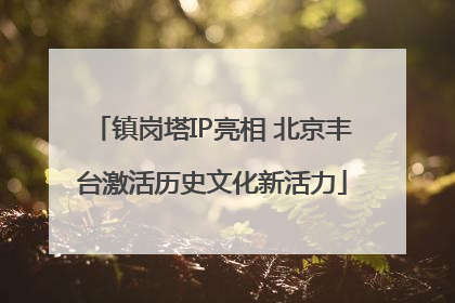 镇岗塔IP亮相 北京丰台激活历史文化新活力