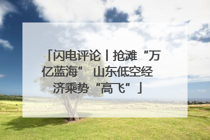 闪电评论丨抢滩“万亿蓝海” 山东低空经济乘势“高飞”