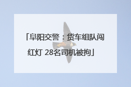 阜阳交警：货车组队闯红灯 28名司机被拘