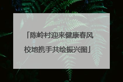 陈岭村迎来健康春风 校地携手共绘振兴图