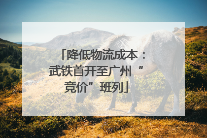 降低物流成本：武铁首开至广州“竞价”班列