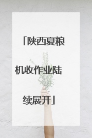 陕西夏粮机收作业陆续展开