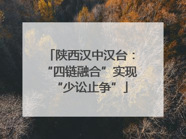 陕西汉中汉台：“四链融合”实现“少讼止争”