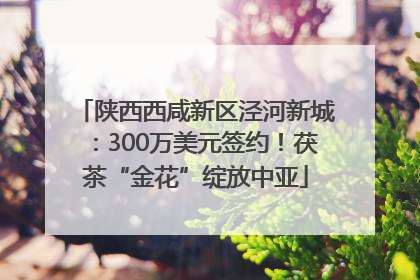 陕西西咸新区泾河新城：300万美元签约！茯茶“金花”绽放中亚