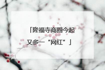 隆福寺商圈今起又多一“网红”
