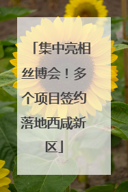集中亮相丝博会！多个项目签约落地西咸新区