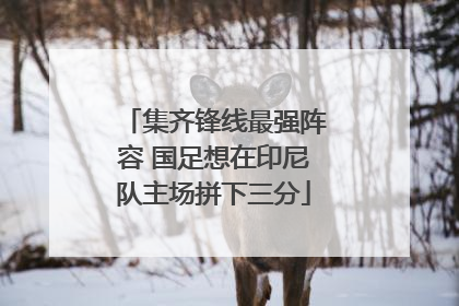 集齐锋线最强阵容 国足想在印尼队主场拼下三分