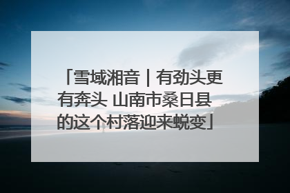 雪域湘音｜有劲头更有奔头 山南市桑日县的这个村落迎来蜕变