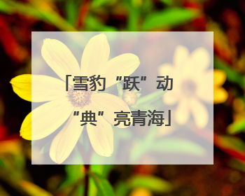 雪豹“跃”动 “典”亮青海